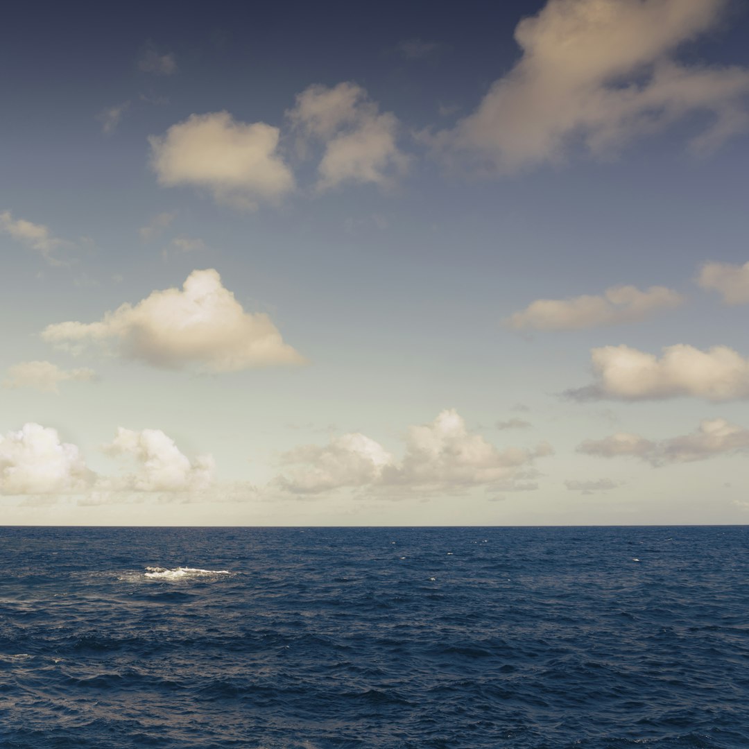 a large body of water under a cloudy sky